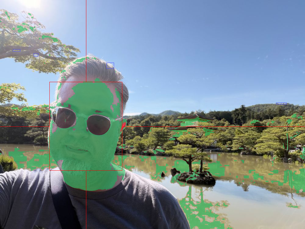 Annotated image