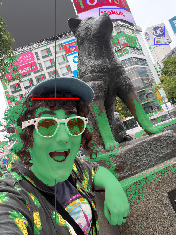 Annotated image